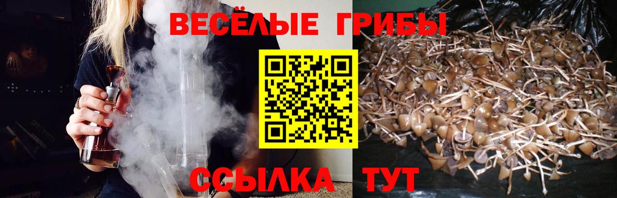 Сердобск  Галлюциногенные грибы Psilocybe  Псилоцибиновые грибы прущие грибы  Вход с VPN 